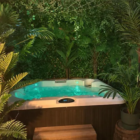 Jungle Room, Jacuzzi Privatif Et Cinéma Appartement Bordeaux