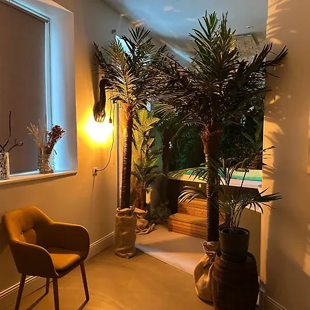 Appartement Jungle Room, Jacuzzi Privatif Et Cinéma *