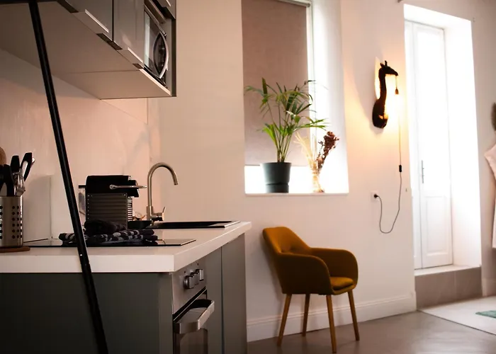 Appartement Jungle Room, Jacuzzi Privatif Et Cinéma